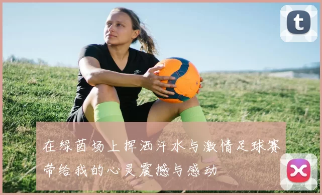 在绿茵场上挥洒汗水与激情足球赛带给我的心灵震撼与感动
