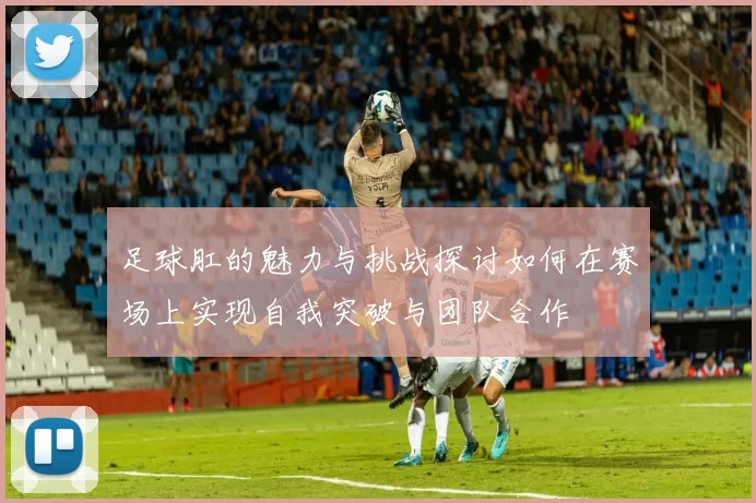 足球肛的魅力与挑战探讨如何在赛场上实现自我突破与团队合作