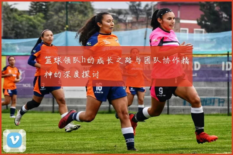 篮球领队h的成长之路与团队协作精神的深度探讨