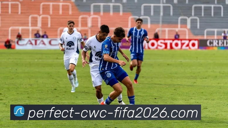 最新资讯平台生态图